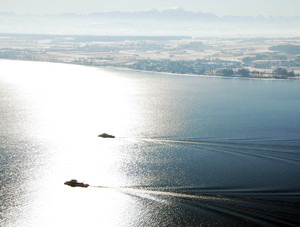 Die Katamarane auf dem Bodensee mit Seeufer